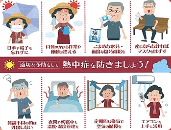 保険テラス